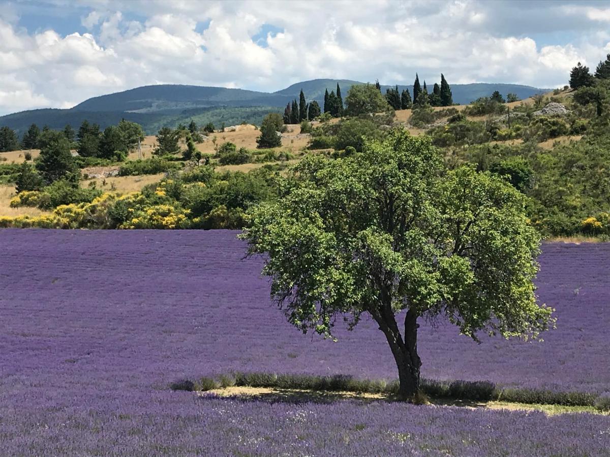 Oustau Du Ventoux Bed & Breakfast Bedoin Exterior photo